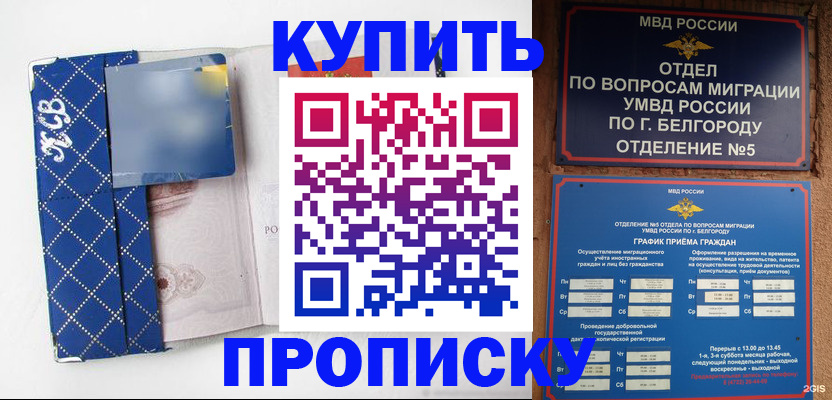 прописка гарантия в Волгограде